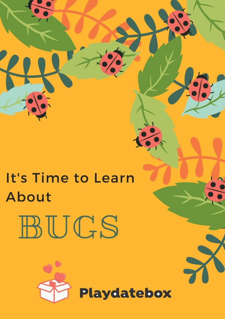learn-about-bugs
