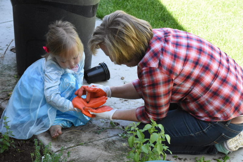 Bug Hunt Safari