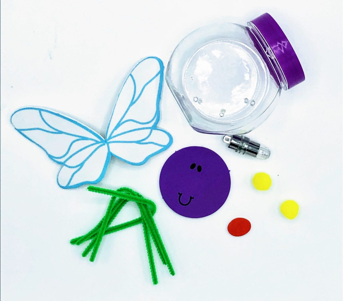 Firefly bug observation craft kit