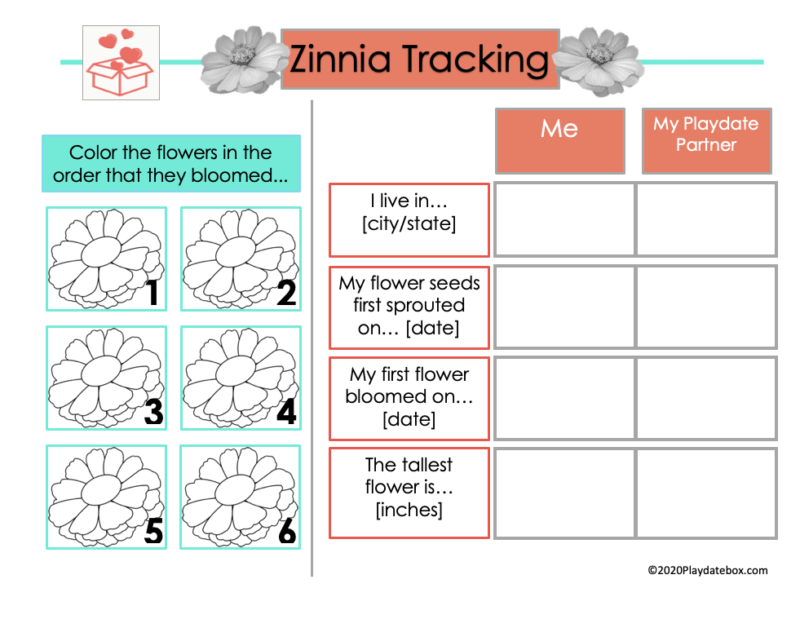 Zinnia Tracking Sheet: Free Printable