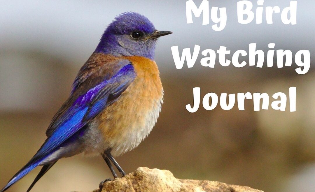 Birdwatching Journal – Free Download