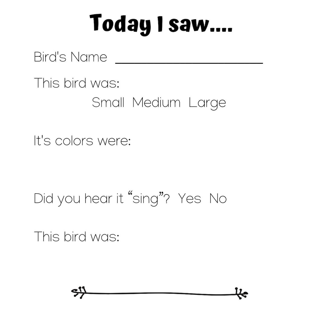 birdwatching journal idea page