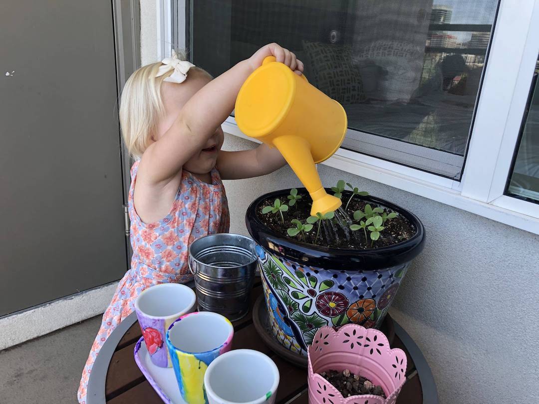 child watering seedlings