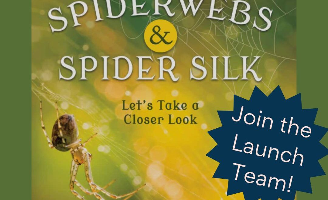 Join the Launch Team for “Spiderwebs and Spider Silk”