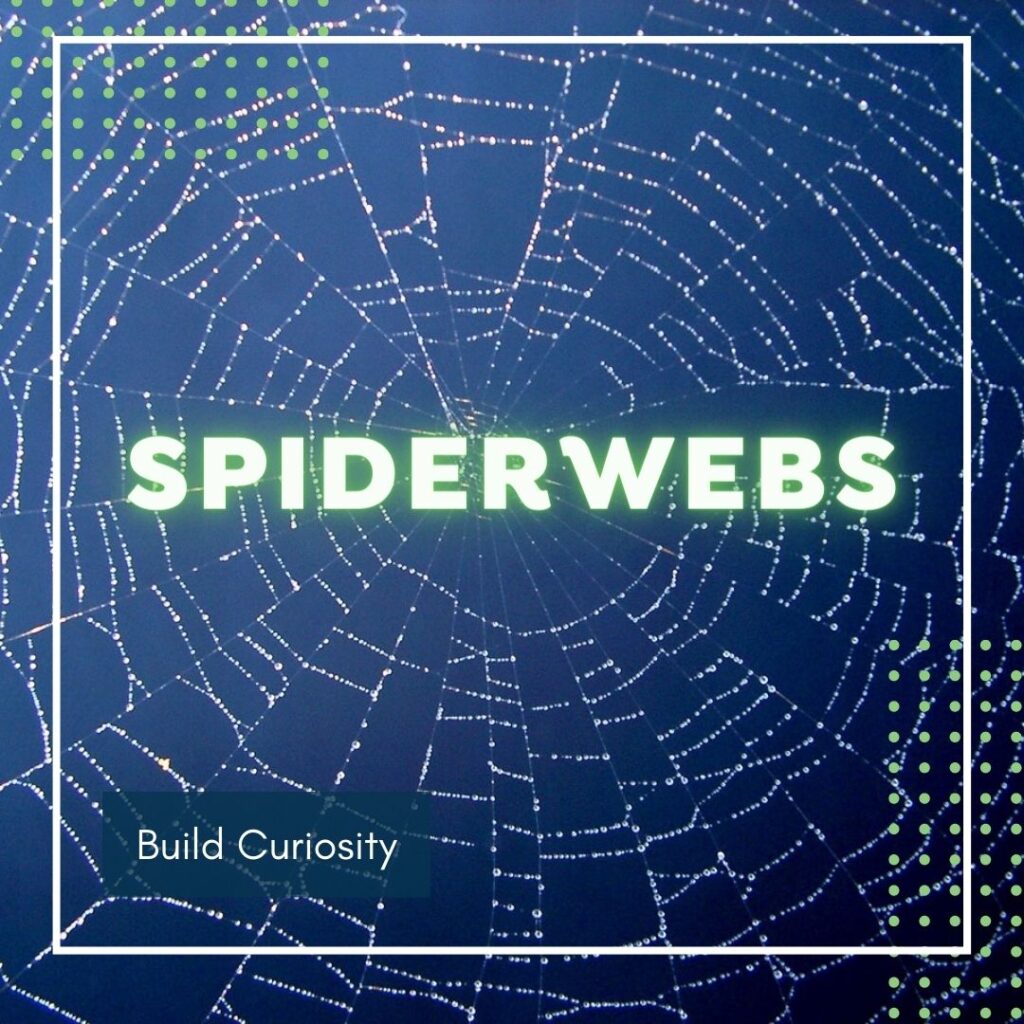 spiderwebs playdatebox