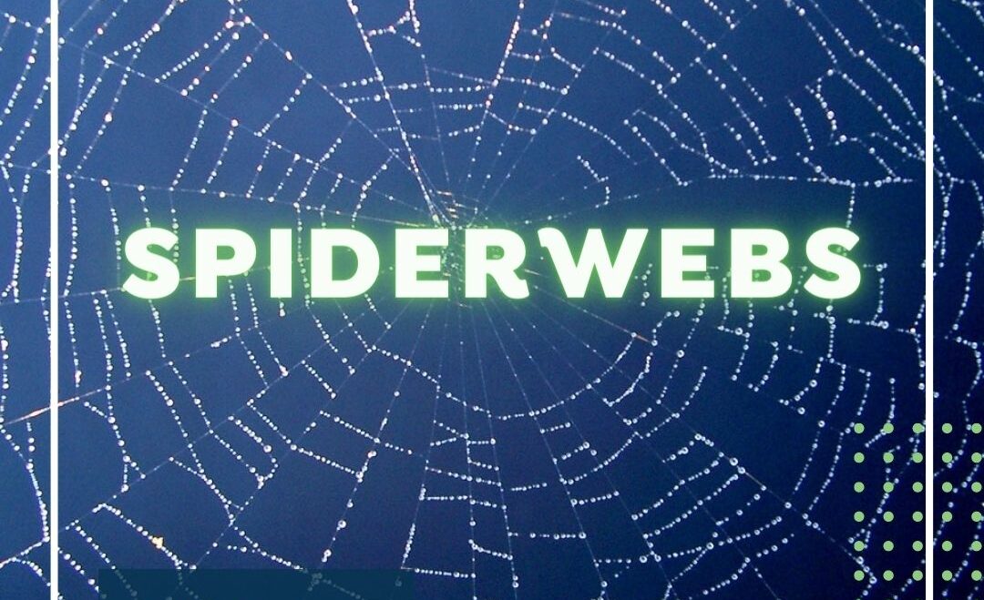 Spiders and Spiderwebs